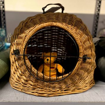 Ein kleiner, orangefarbener Teddy-Bär mit dem Aufdruck Germany ist in einem Katzenkorb eingeschlossen und wartet im Fundbüro auf seinen Besitzer
